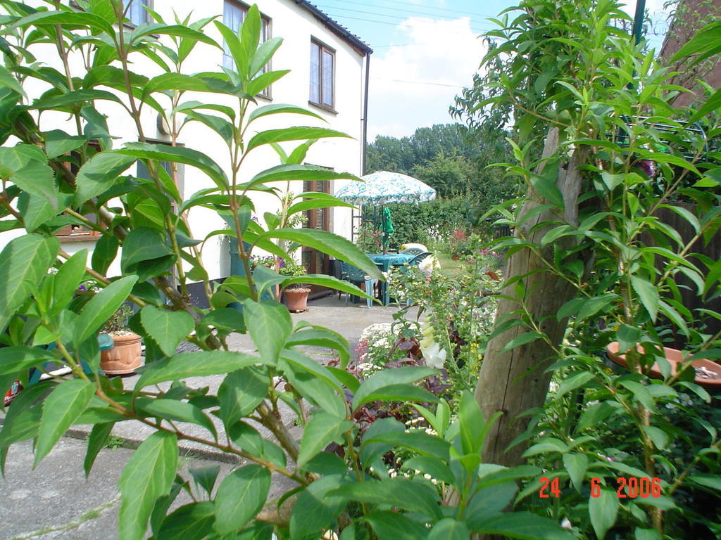 Bed and Breakfast The Elms East Harling Exterior foto
