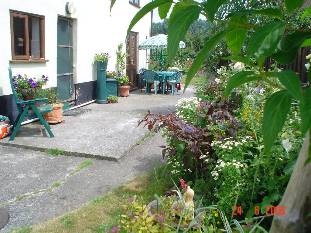 Bed and Breakfast The Elms East Harling Exterior foto