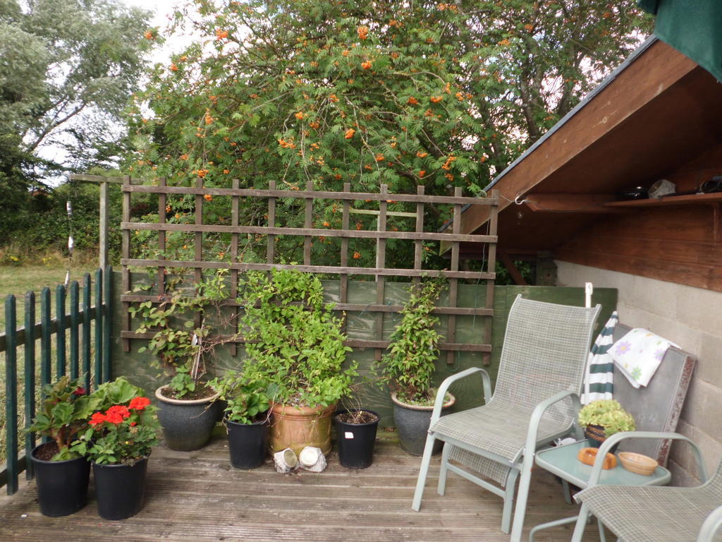 Bed and Breakfast The Elms East Harling Exterior foto